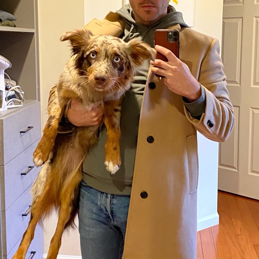 Meet your Posher, Vaughn